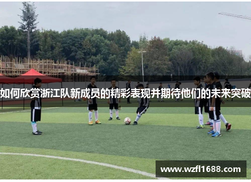 如何欣赏浙江队新成员的精彩表现并期待他们的未来突破