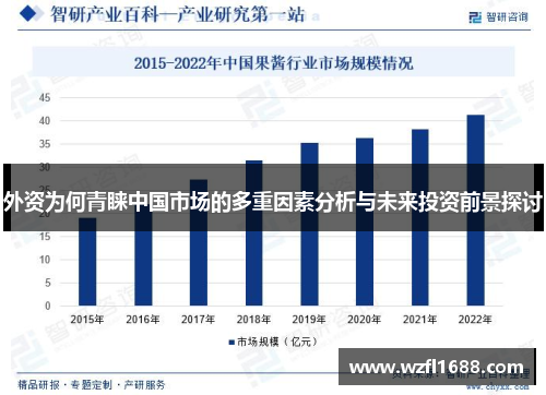 外资为何青睐中国市场的多重因素分析与未来投资前景探讨