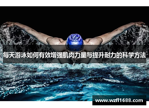 每天游泳如何有效增强肌肉力量与提升耐力的科学方法