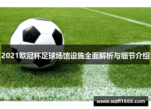 2021欧冠杯足球场馆设施全面解析与细节介绍