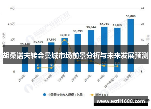 胡桑诺夫转会曼城市场前景分析与未来发展预测